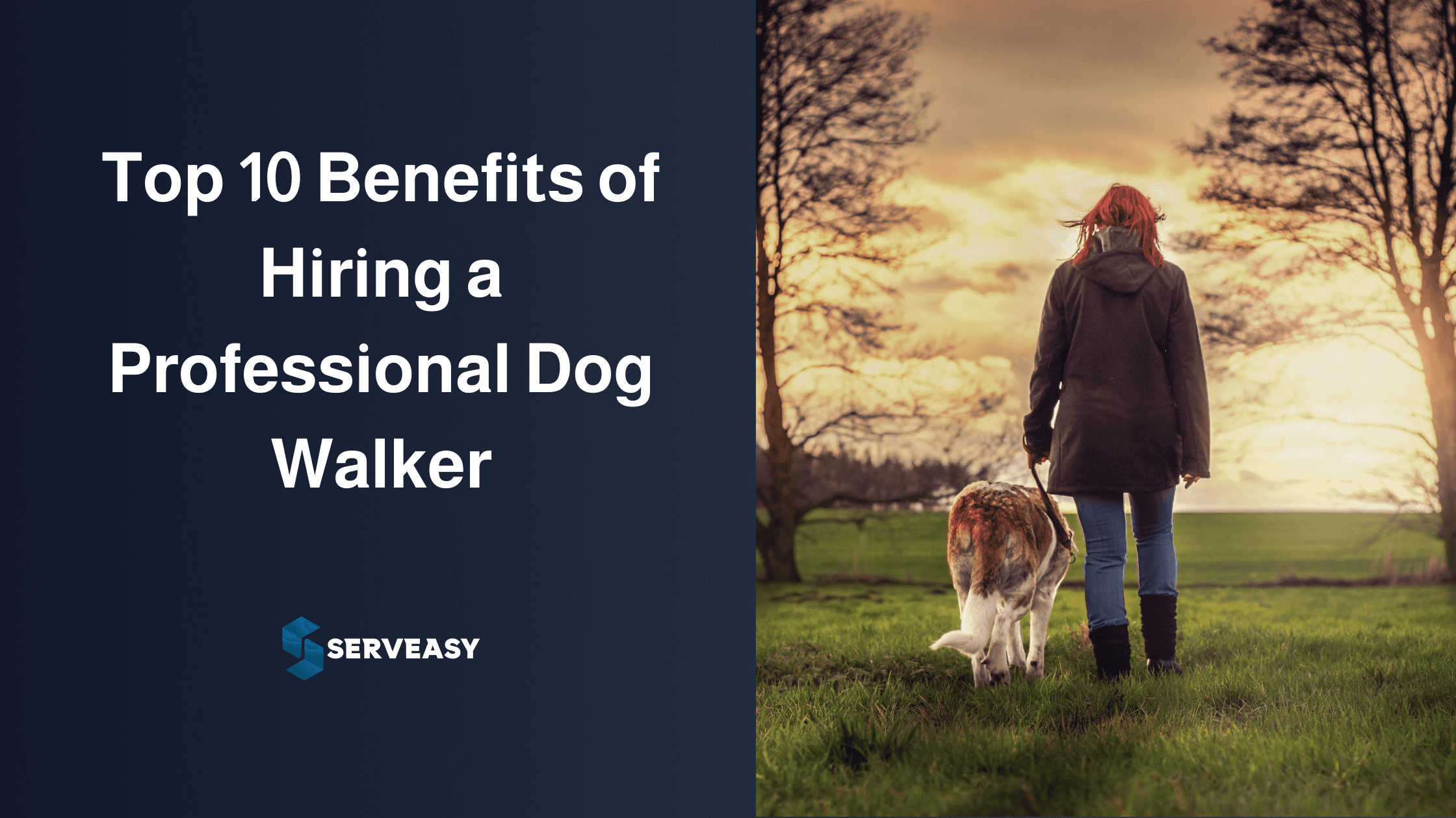 Top 10 Benefits of Hiring a Professional Dog Walker